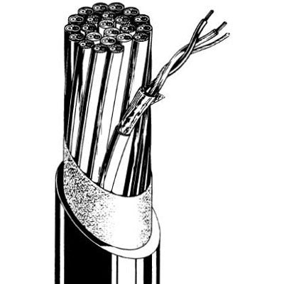 Canare MR202-2AT 2-Channel Microphone Snake Cable (200 Meter Spool)