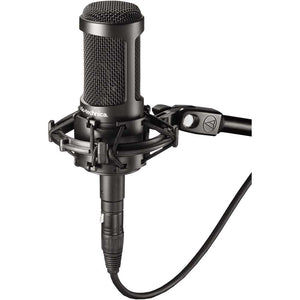 Audio-Technica AT2050 Large Diaphragm Multi Pattern Condenser Microphone