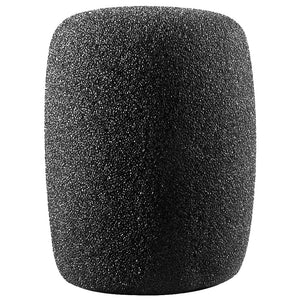 Audio-Technica AT8101 Large Foam Windscreen