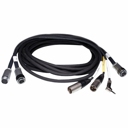 Sound Devices XL-10 Multi-pin Snake Cable for 552 Field Mixers