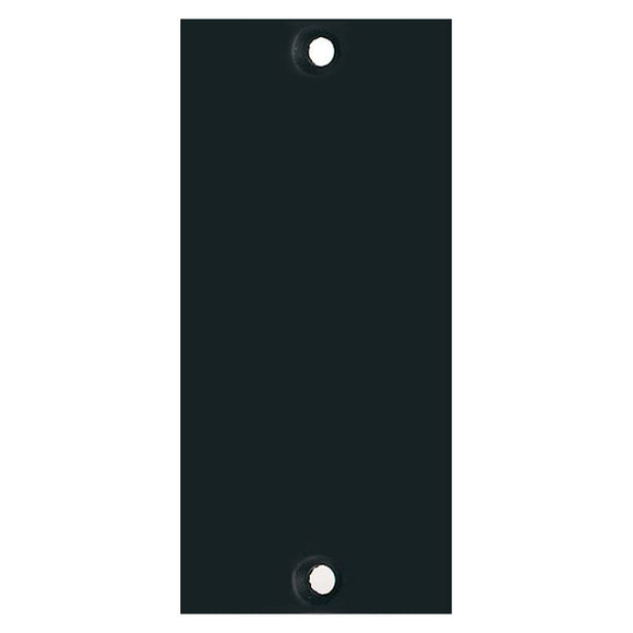 API 2B1 200 Series Blank Panel - One Slot