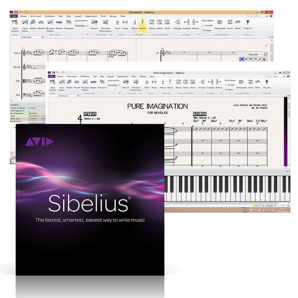 Avid Sibelius 8 Notation Software (Annual Subscription with Upgrade Plan)